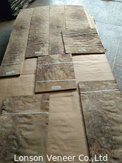 Fetta/spessore tagliato rotatorio di Burl Veneer With Sap 0.50MM della noce