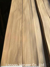 Il legno dell'olmo del grano diritto impiallaccia lo spessore naturale 0.50MM