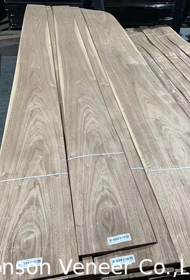 Taglio Crowm Veneer di Noce Americana Naturale Grado A/B Spessore 0,45 mm