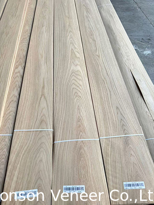 Spessore 0,5 mm Pannello di rivestimento bianco di quercia europeo di grado A Prezzo molto buono