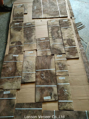 Fetta/spessore tagliato rotatorio di Burl Veneer With Sap 0.50MM della noce